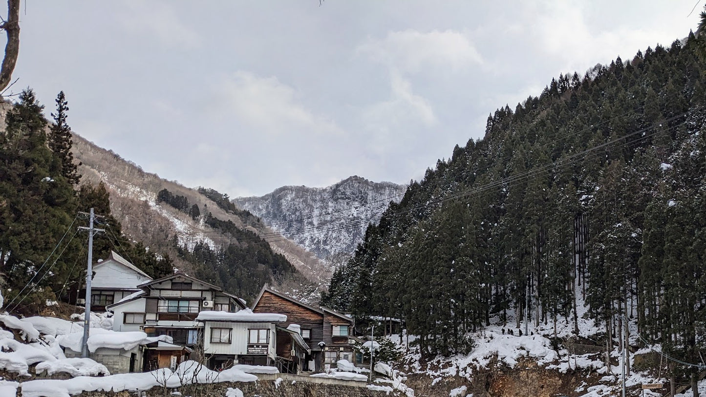 Togakushi Shrine & Snow Monkeys: Sacred Nature in Nagano