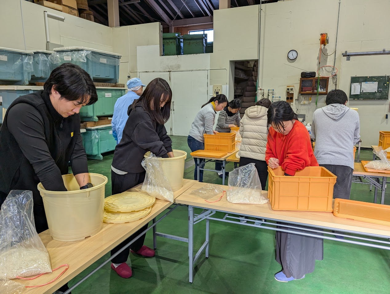 Hands-on History: Make Your Own Miso at a 240-Year-Old Brewery