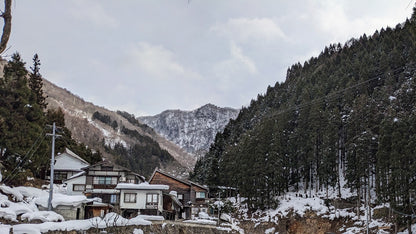 Togakushi Shrine & Snow Monkeys: Sacred Nature in Nagano